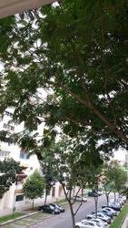 Blk 613 Yishun Street 61 (Yishun), HDB 5 Rooms #104801762
